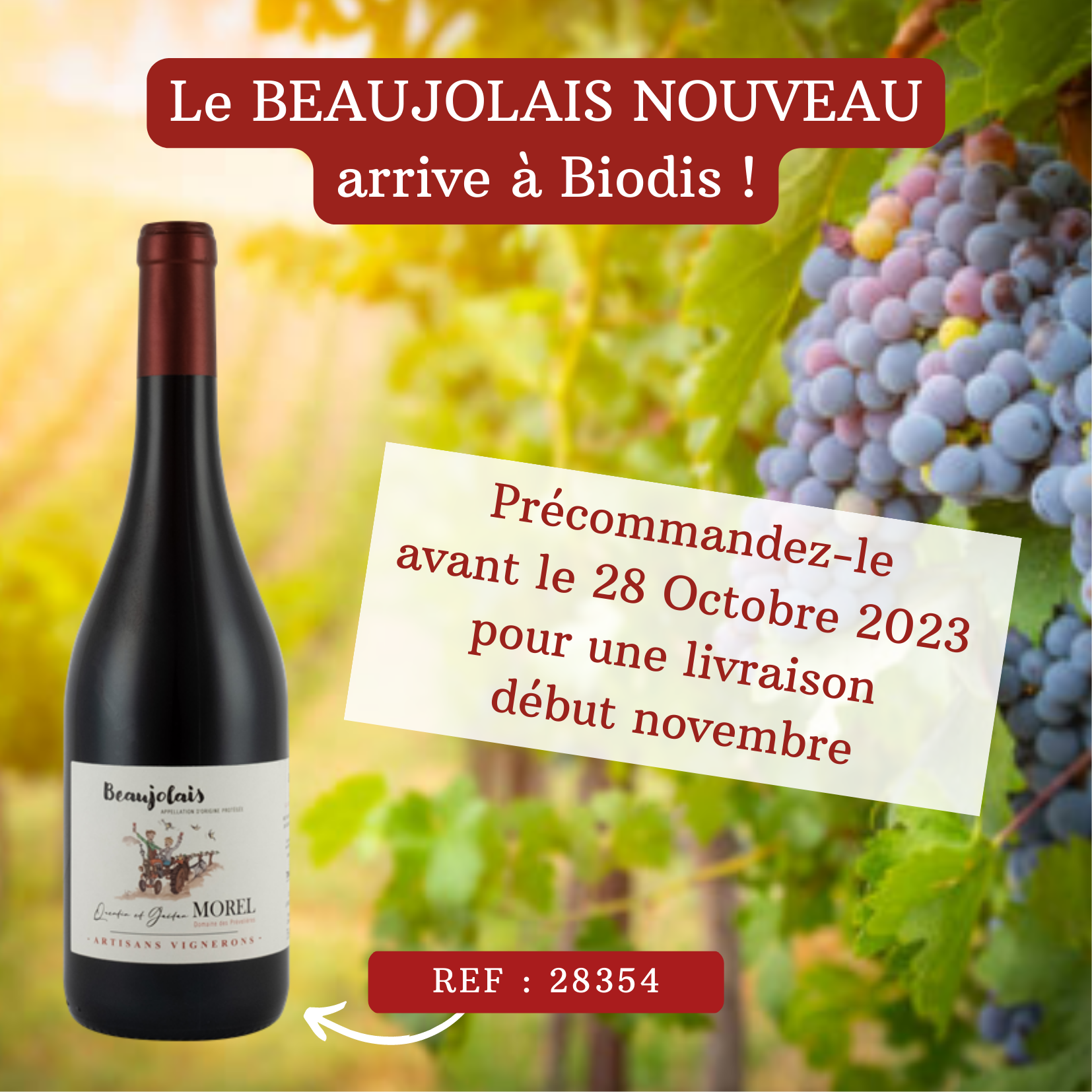 BEAUJOLAIS NOUVEAU